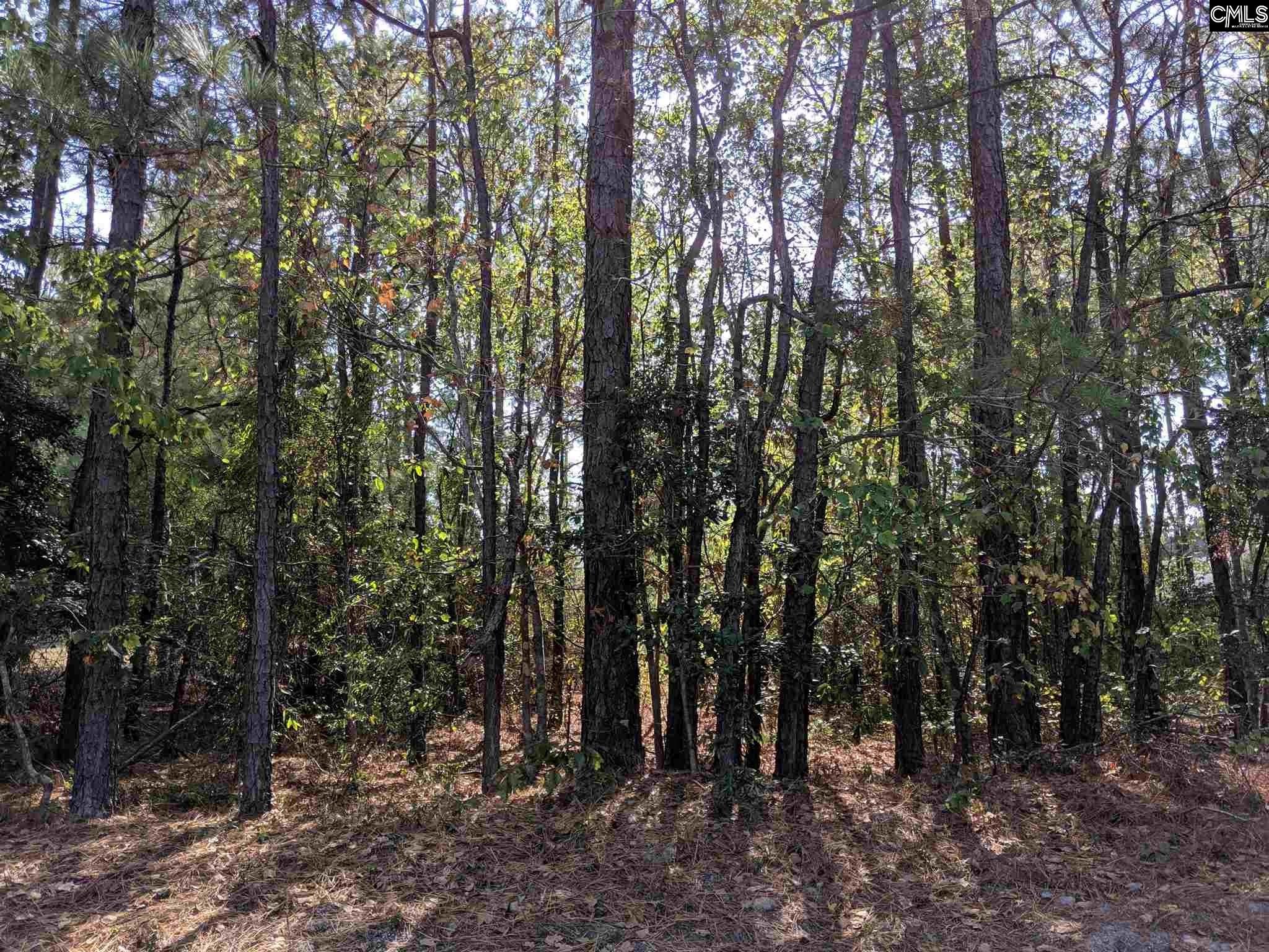 528 Meadowbrook #29 Columbia, SC 29223