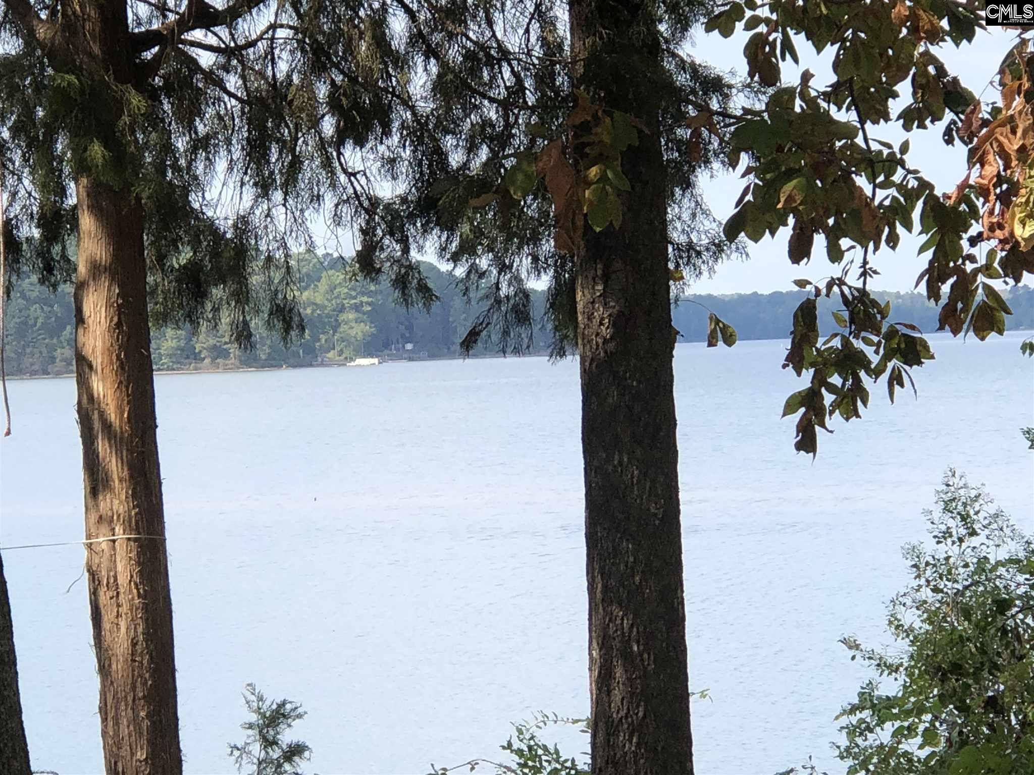 1656 Dreher Island Chapin, SC 29036