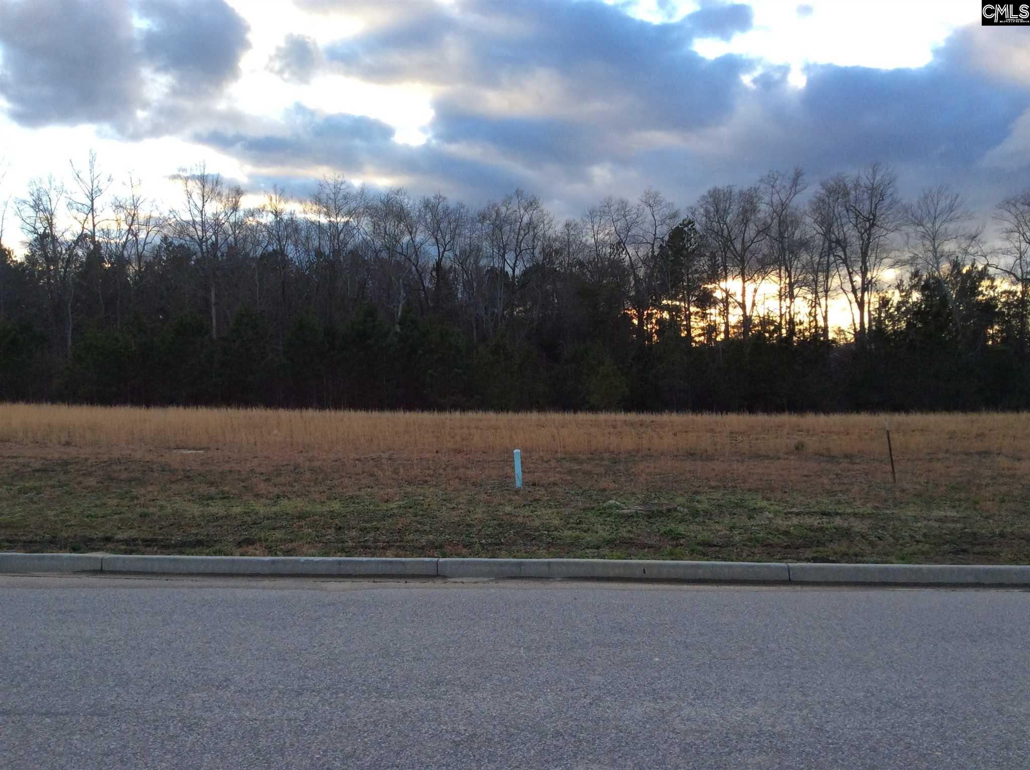 126 Brookside #10 Lexington, SC 29072