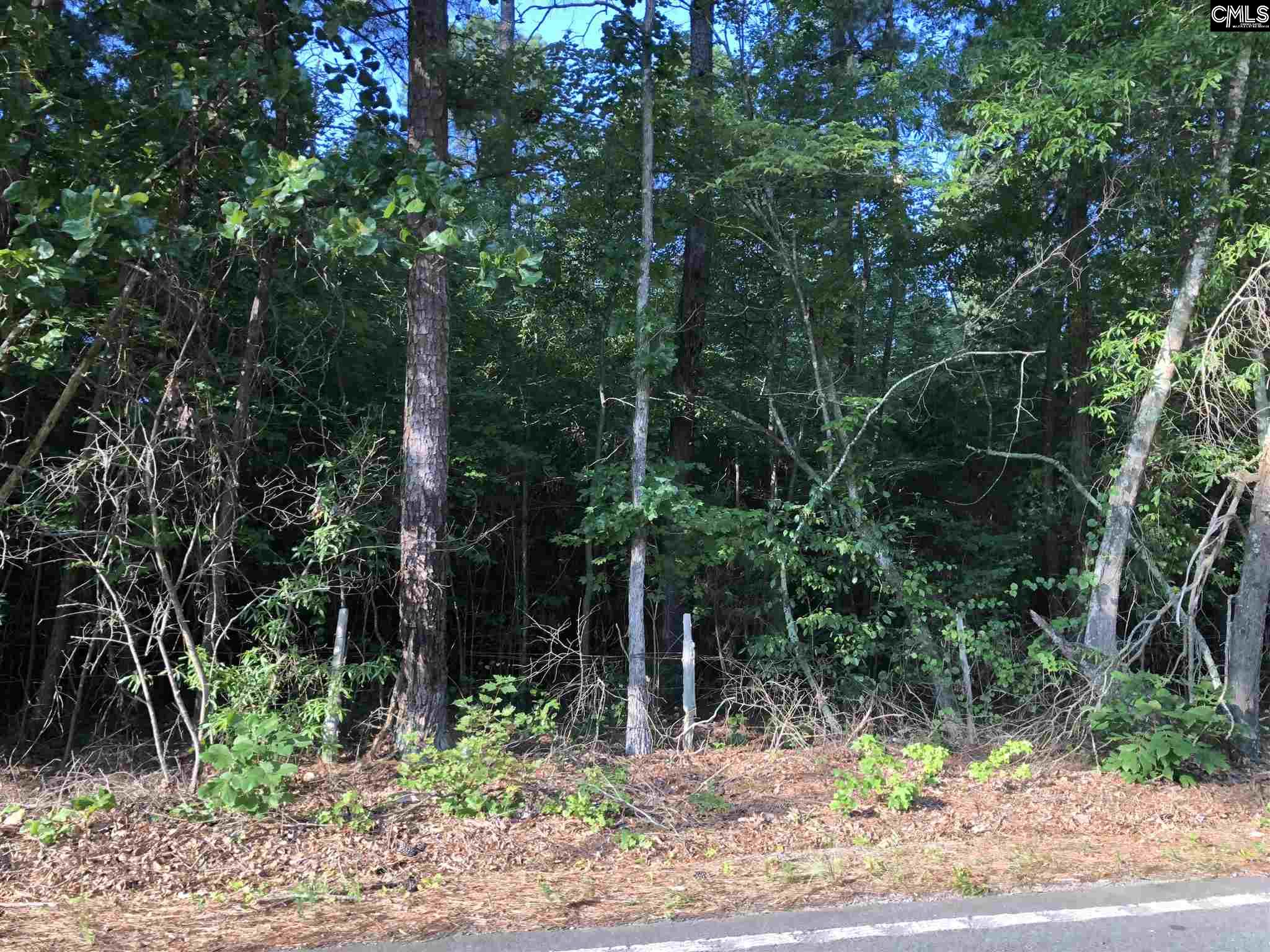 C0 Long Pine Chapin, SC 29036