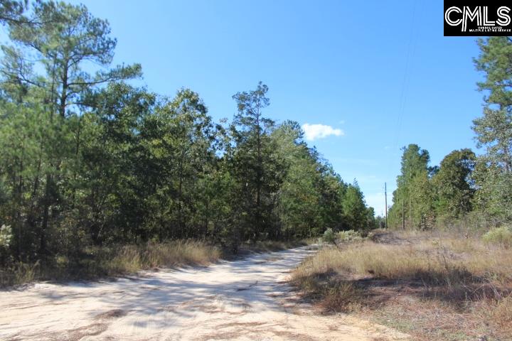 164 Greens Bridge #27 Leesville, SC 29070