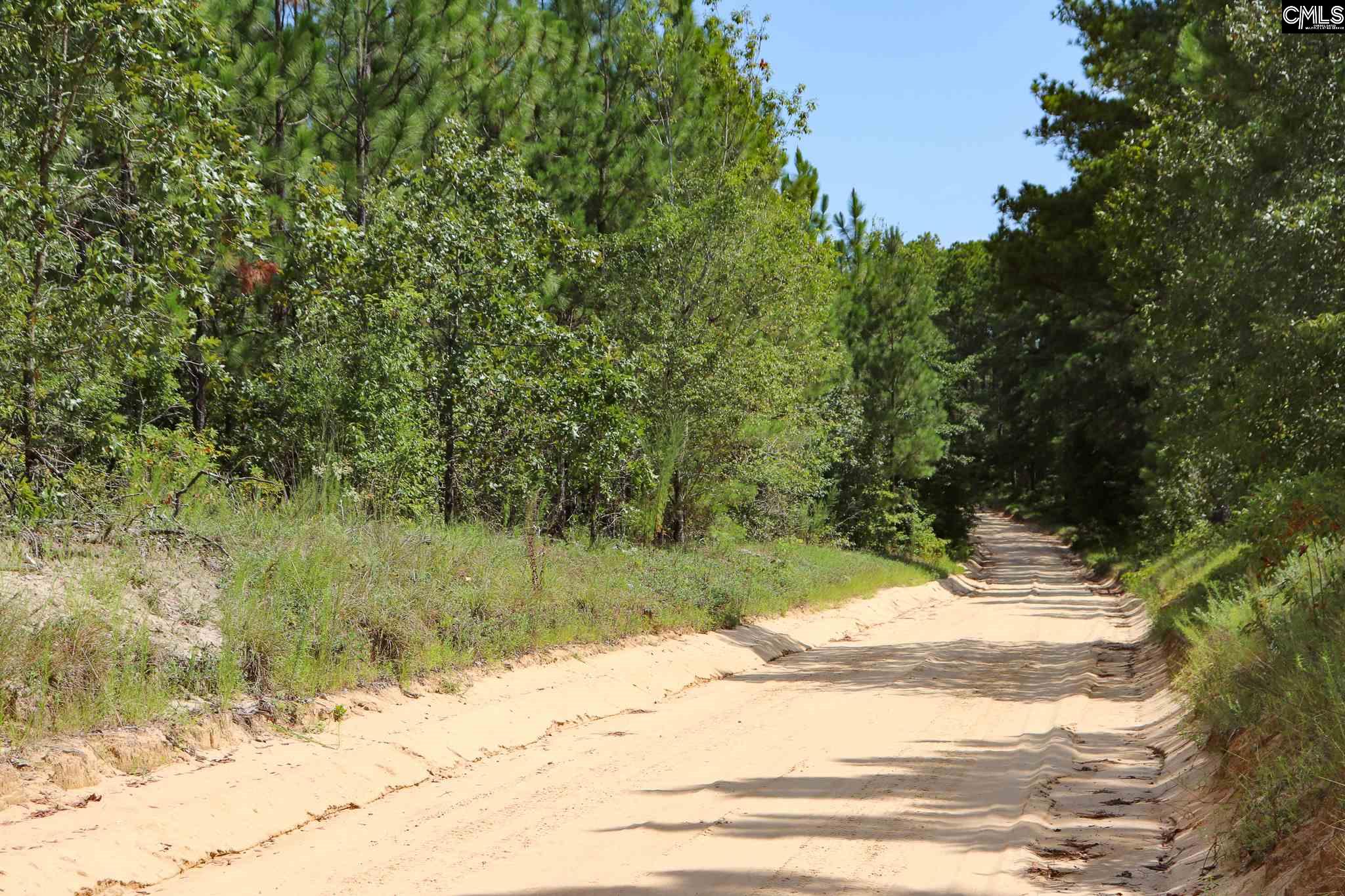 1240 Cotton Branch #2 Leesville, SC 29070