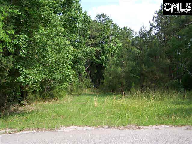 271 Goodlett #lot #6 Blair, SC 29015