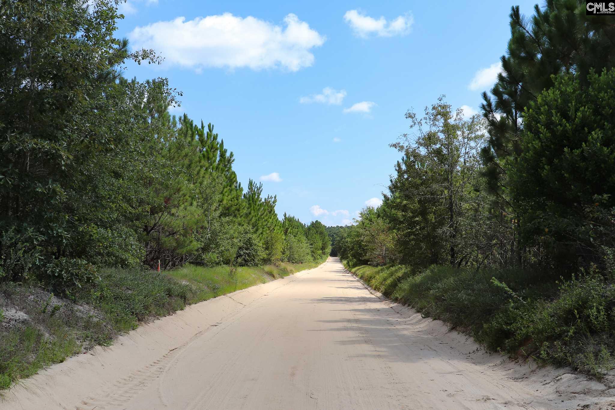 1120 Cotton Branch #6 Leesville, SC 29070