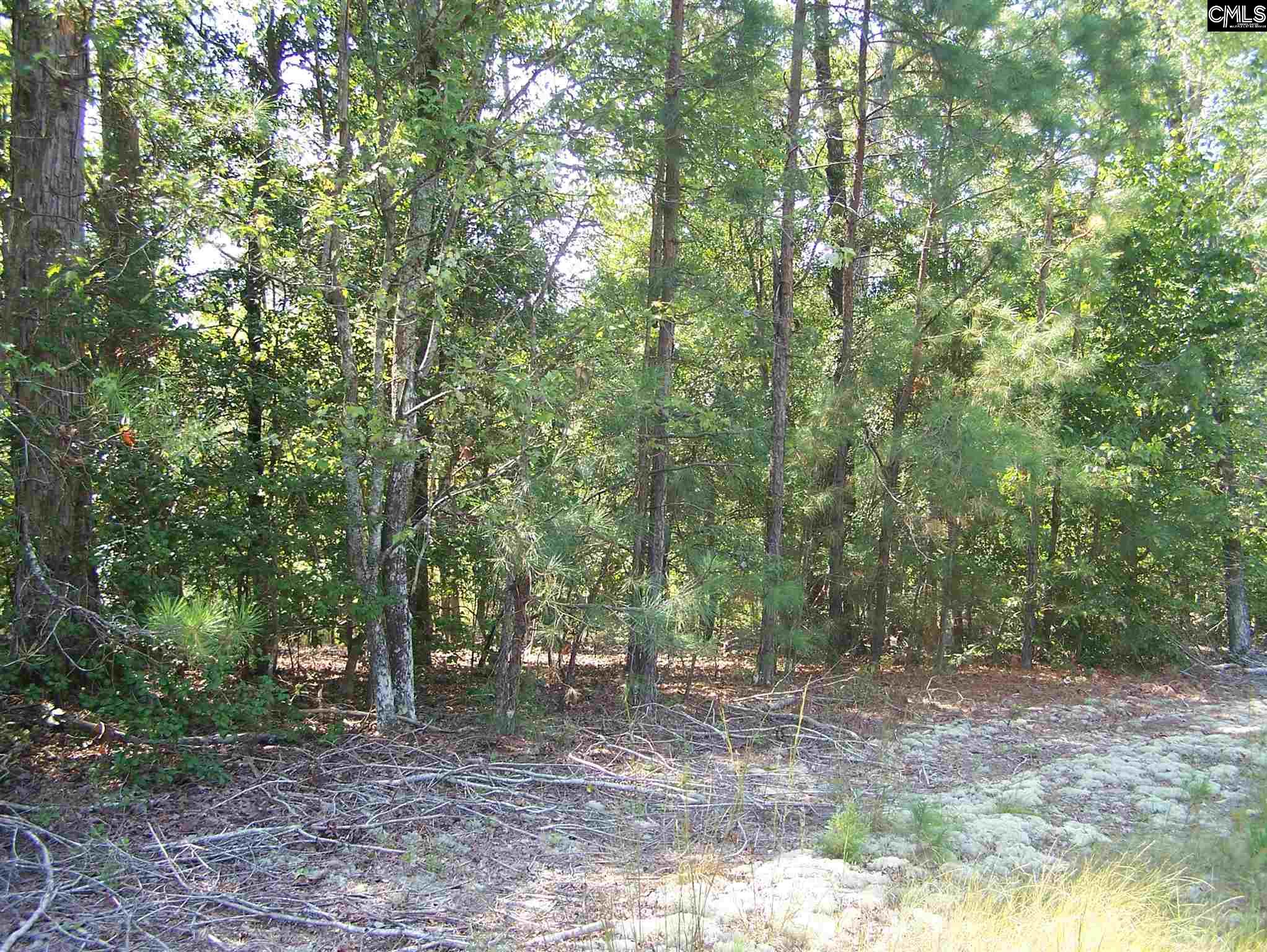 Land for sale in Blythewood SC