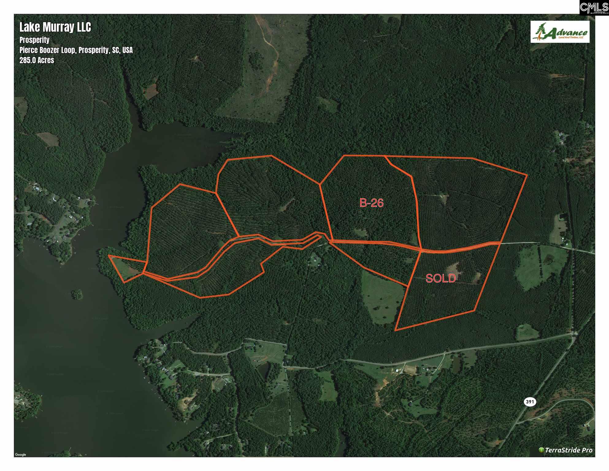 Prosperity SC Real Estate Pierce Boozer Loop Rd Prosperity SC 29127