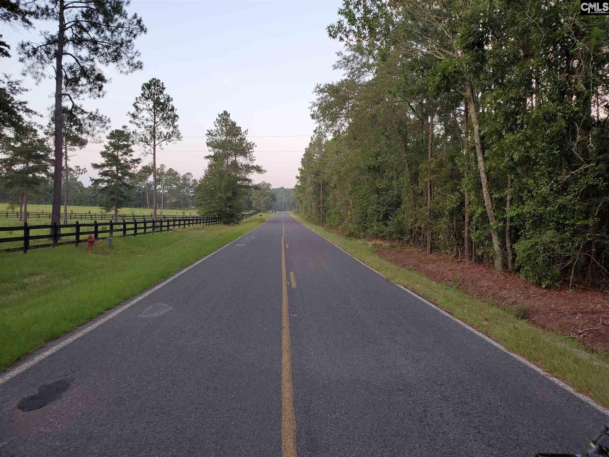 1133 Dan Comalander Chapin, SC 29036