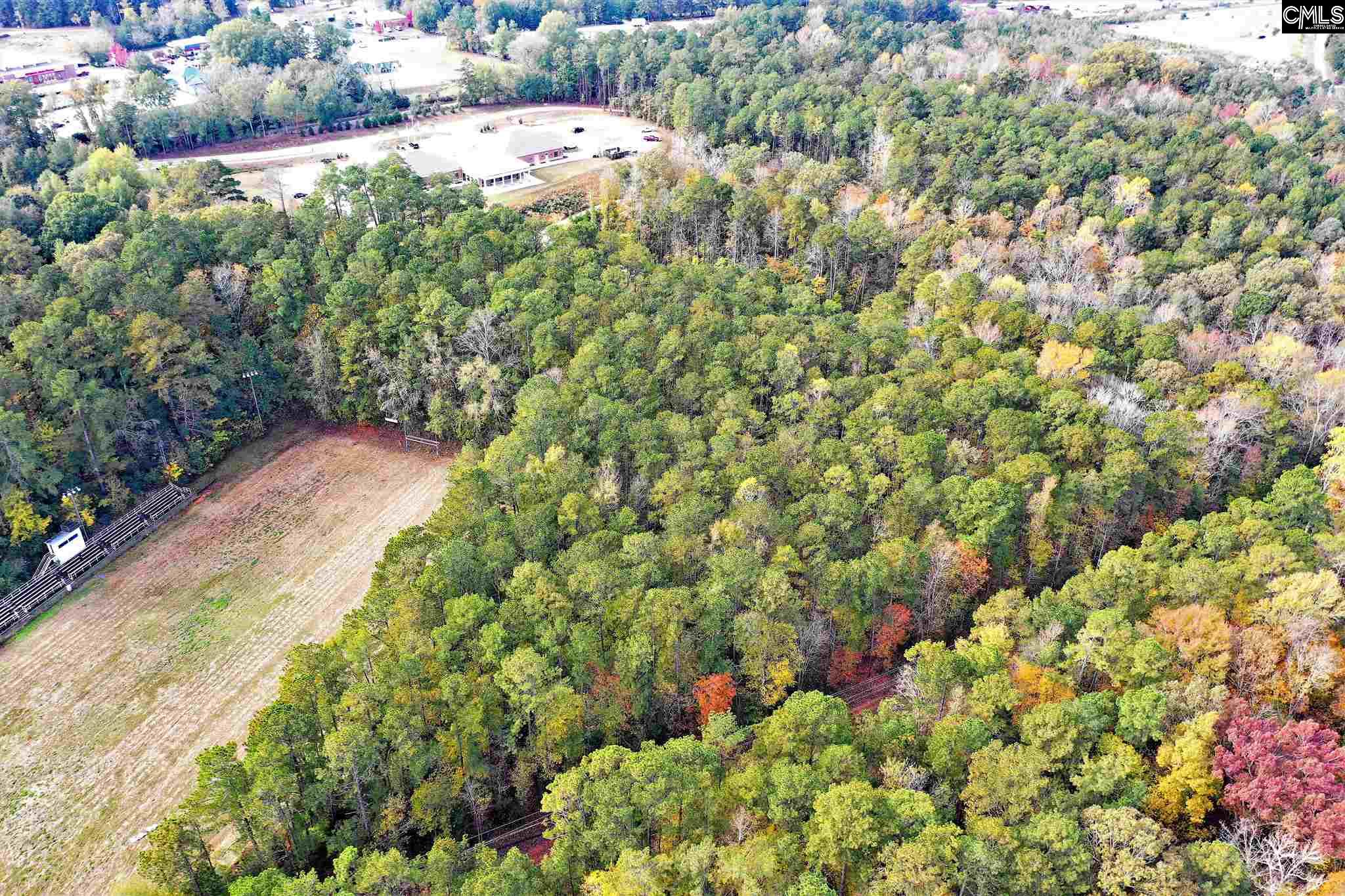 Pinewood Chapin, SC 29036