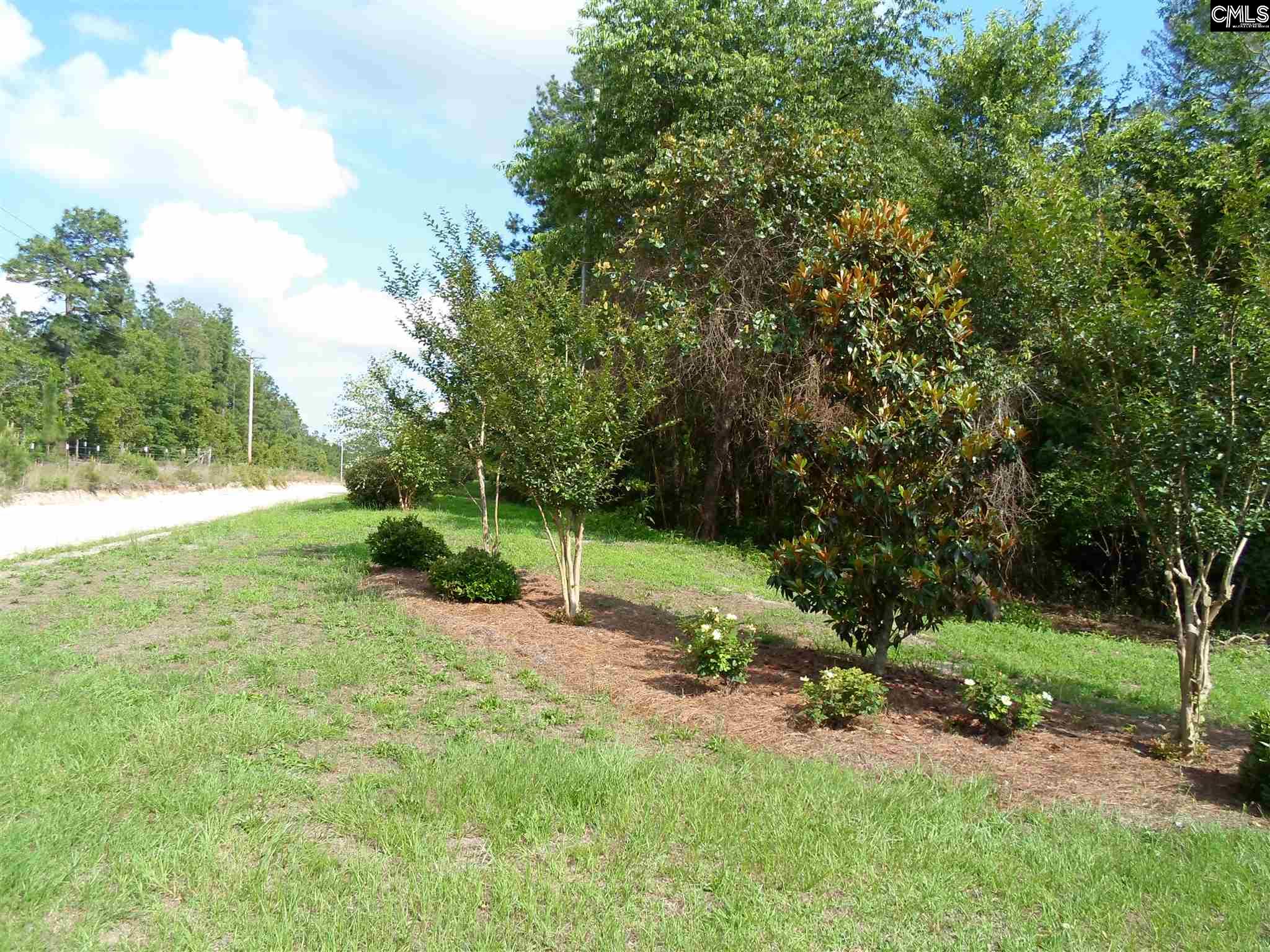 107 Lewis Gilbert, SC 29054