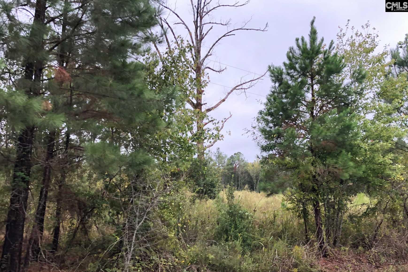 662 Shivers Green Lugoff, SC 29078