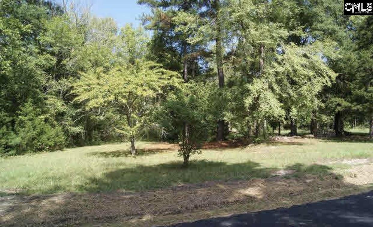 164 John Kinard Chapin, SC 29036