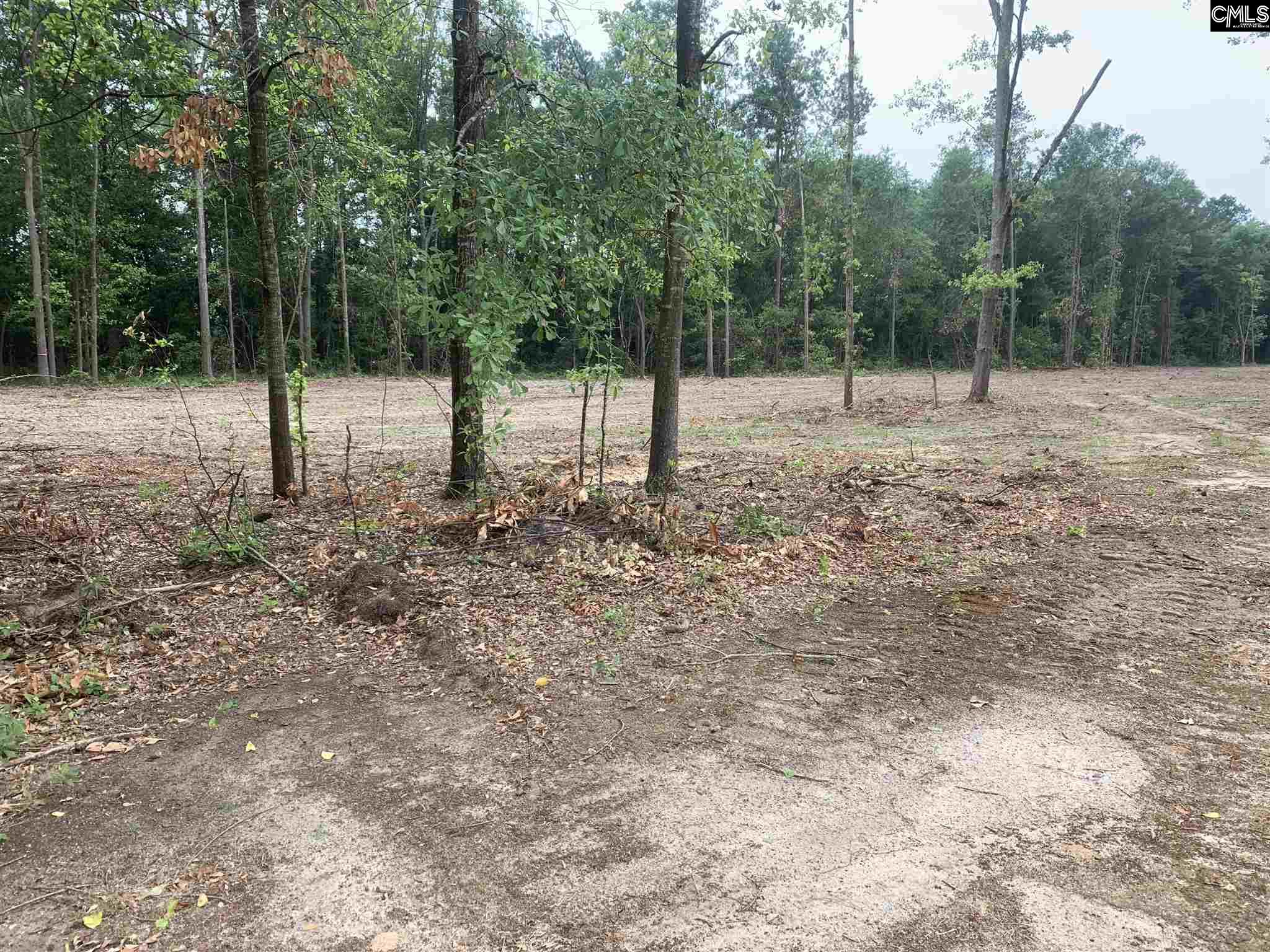 226 #8 Rawls Leesville, SC 29070