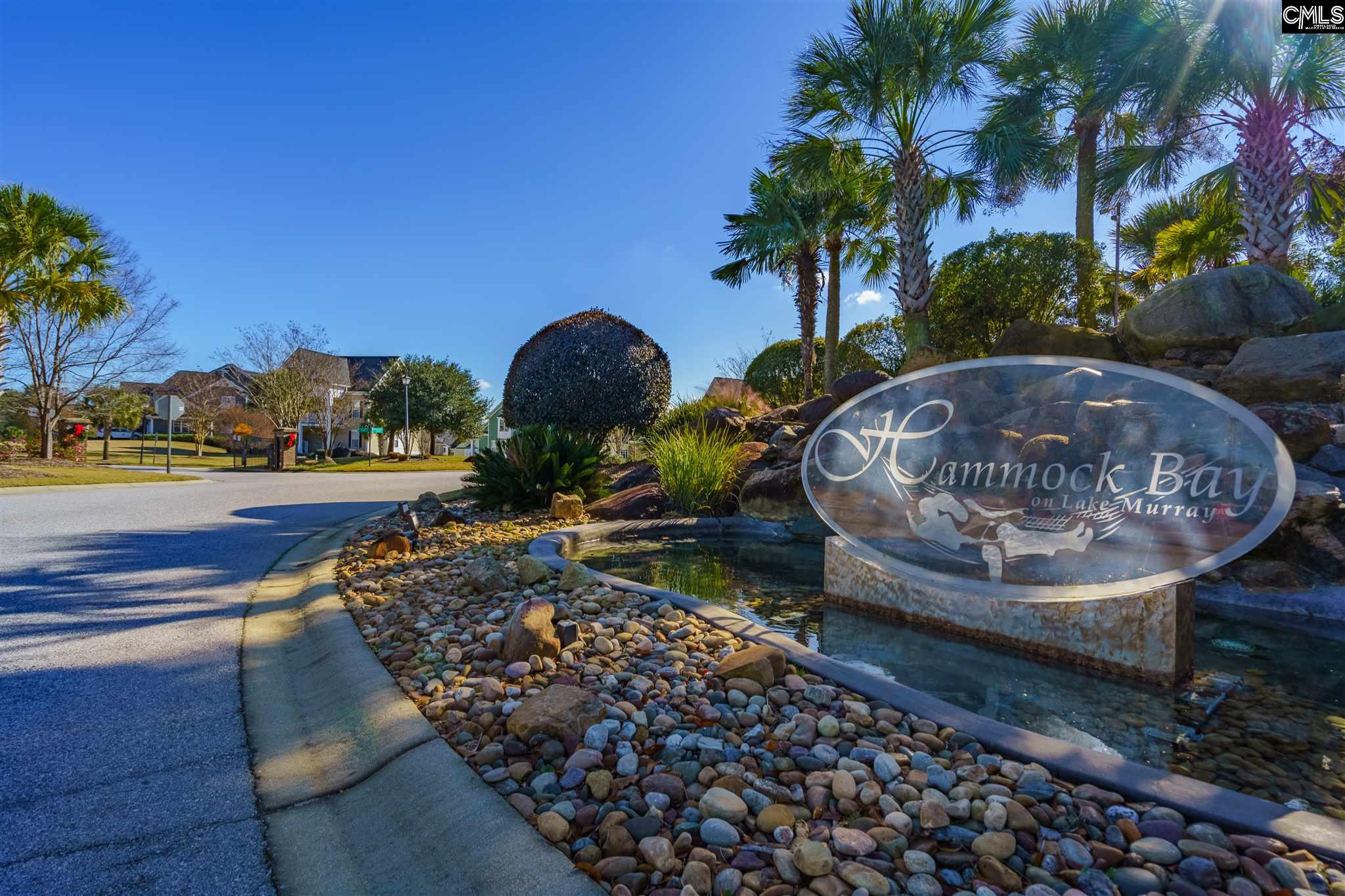 Hammock Bay Neighborhood Homes for Sale in Lexington SC