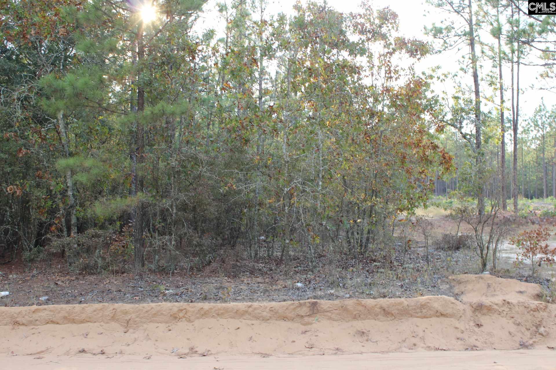 128 Sugar Bottom Leesville, SC 29070