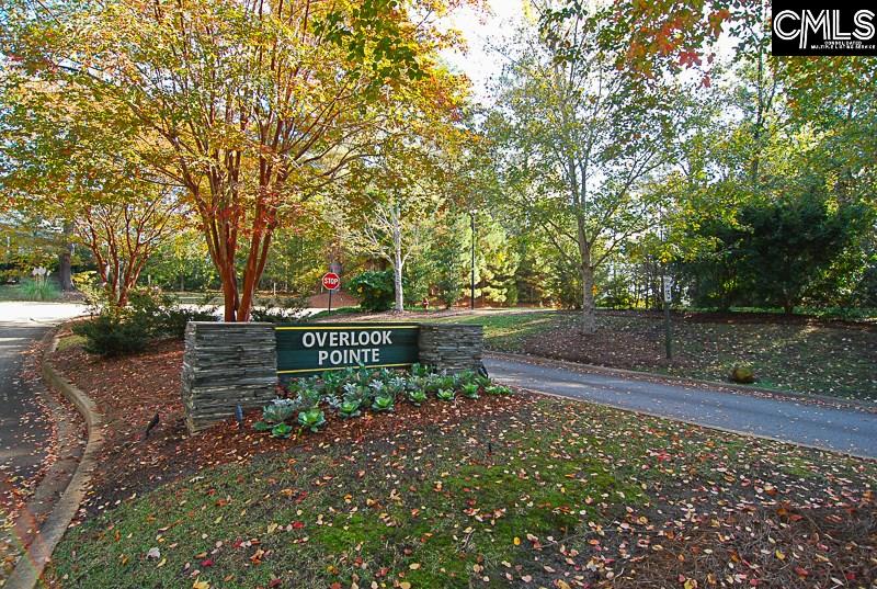 100 Pointe Overlook Chapin, SC 29036