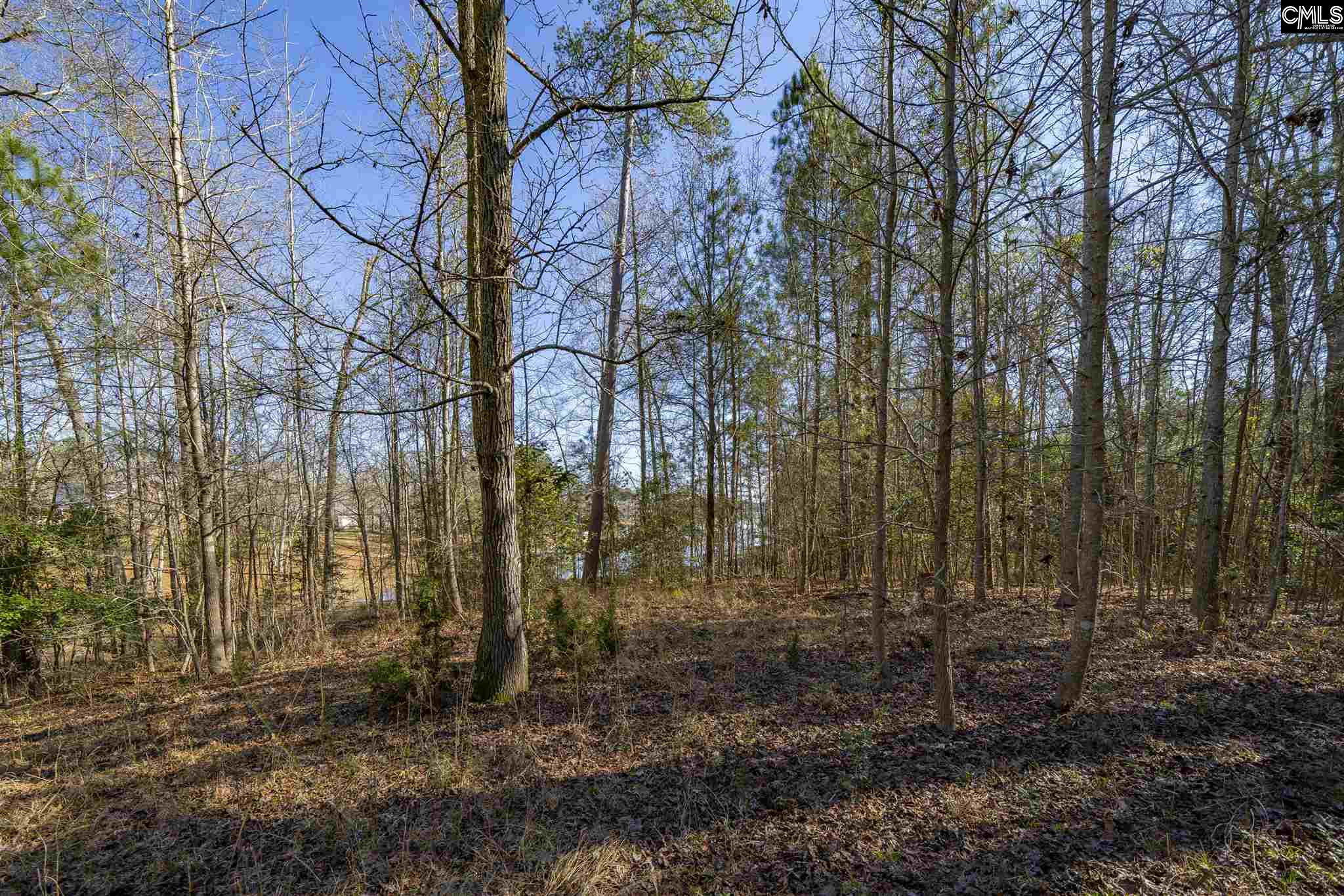 Lot 20 Osprey Pointe Prosperity South Carolina For 125 000