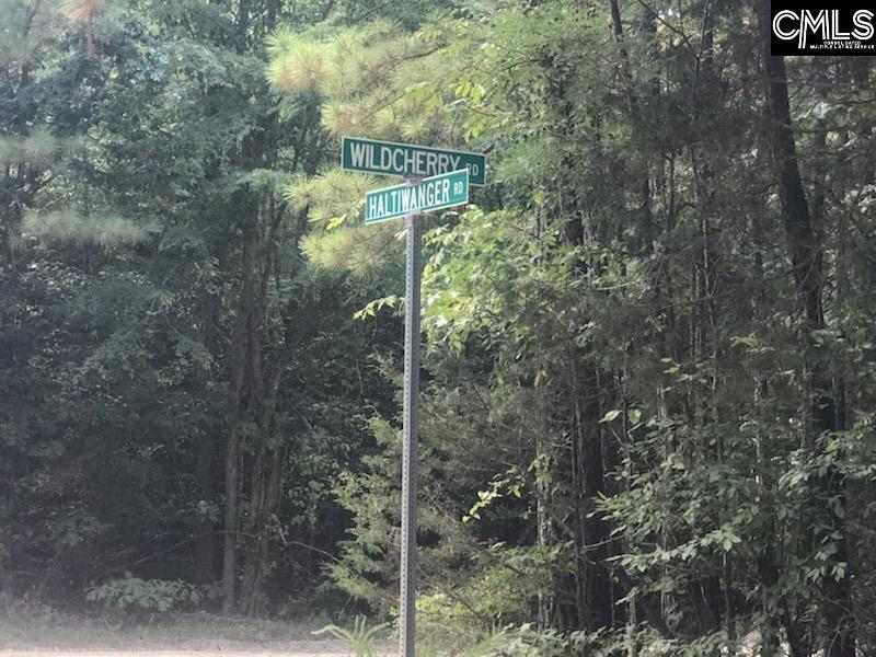 407 Haltiwanger Chapin, SC 29036