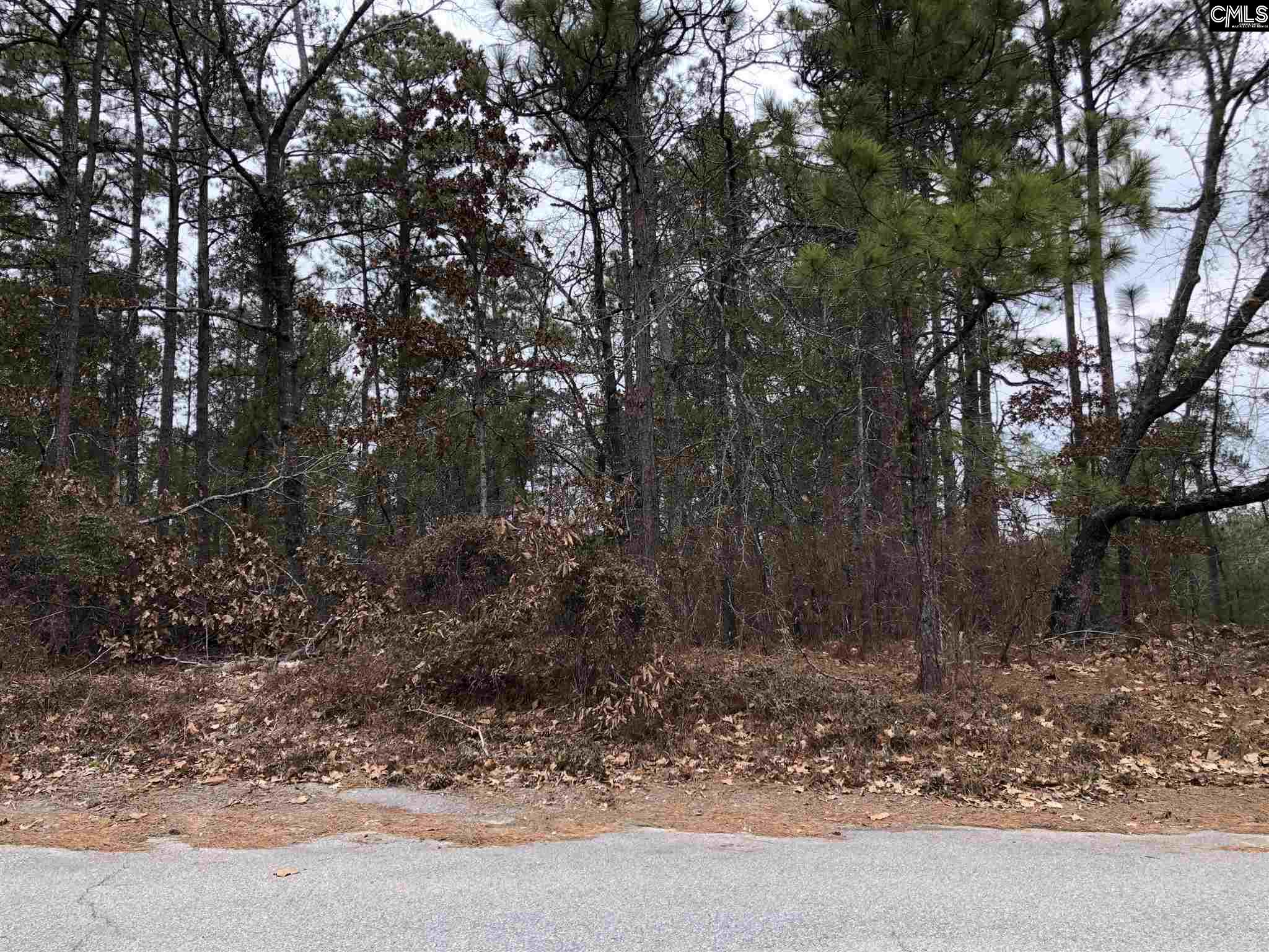 11 Candlewood Columbia, SC 29209