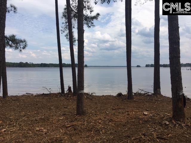 20 Beards Creek Chapin, SC 29036