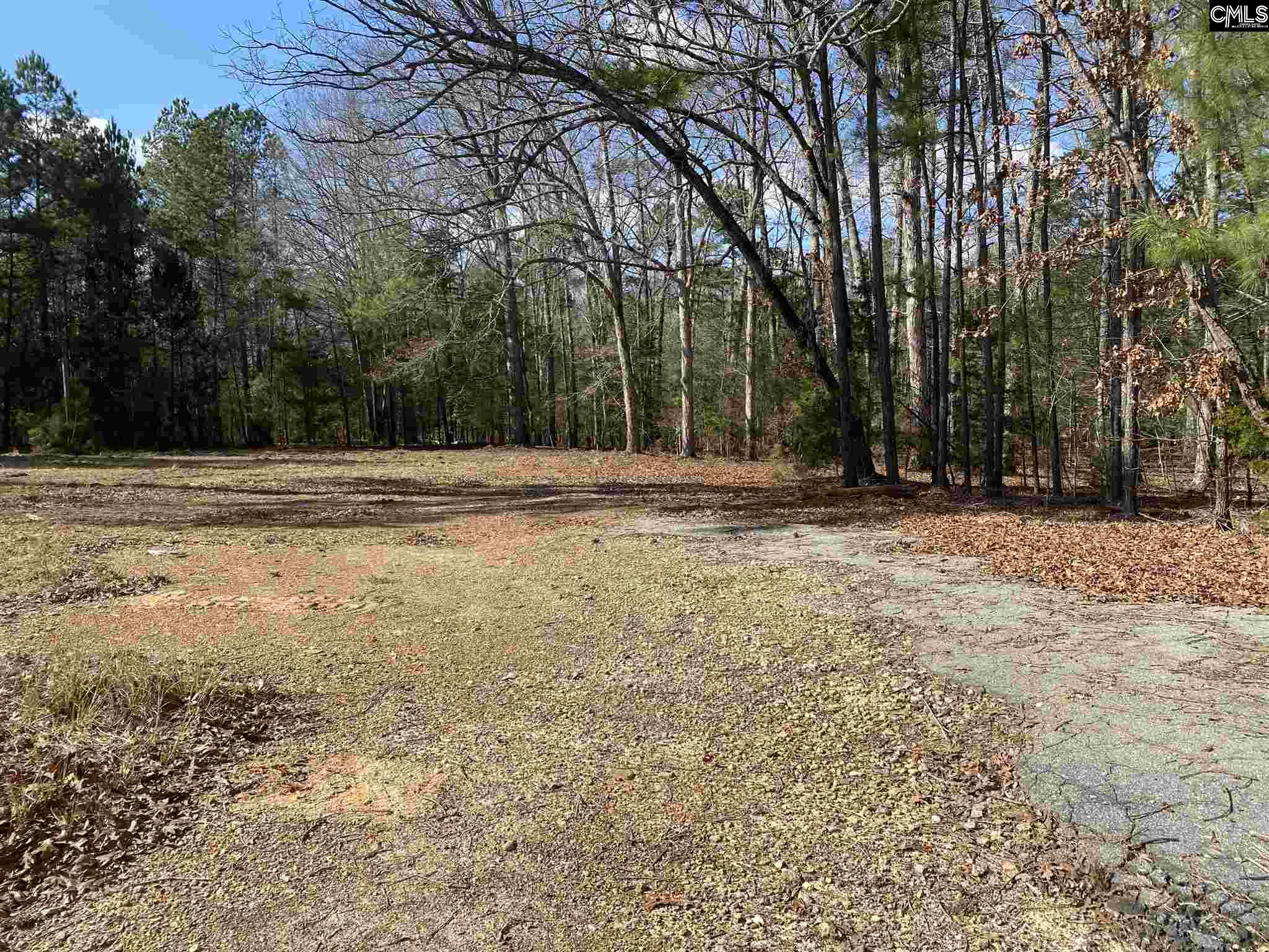 1360 Old Hilton Chapin, SC 29036