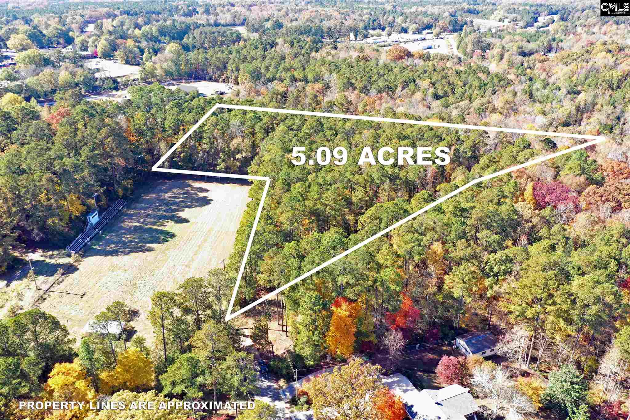 Pinewood Chapin, SC 29036