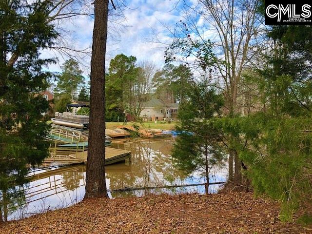 302 Smallwood Unit 18 Chapin, SC 29036