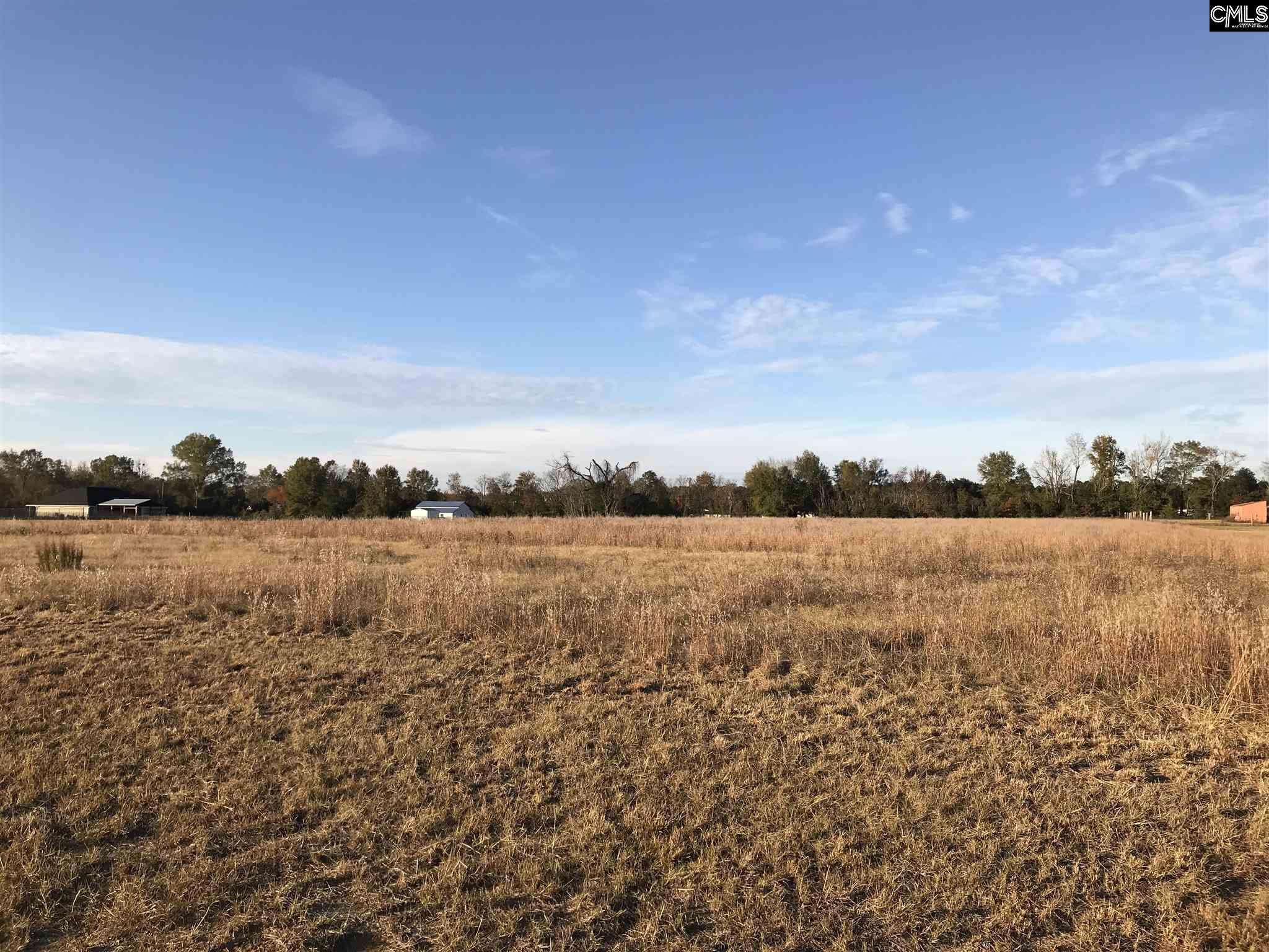 Hopkins SC Real Estate 126 Appleton Corner Hopkins SC 29061 MLS 488666