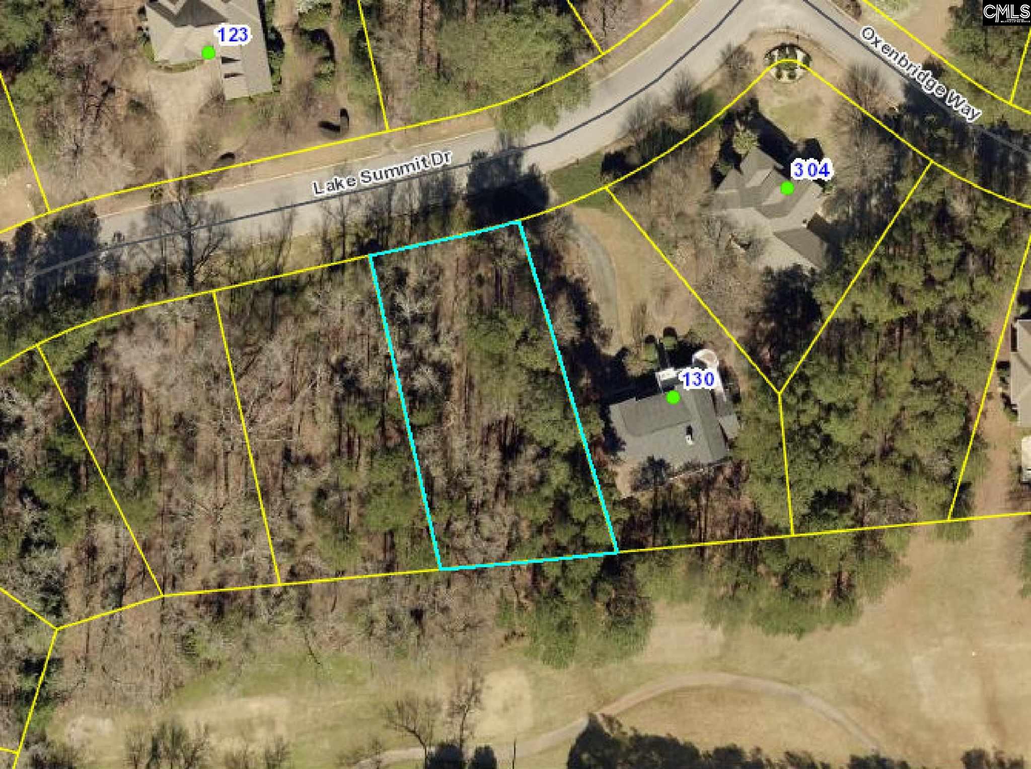 126 Lake Summit Chapin, SC 29036
