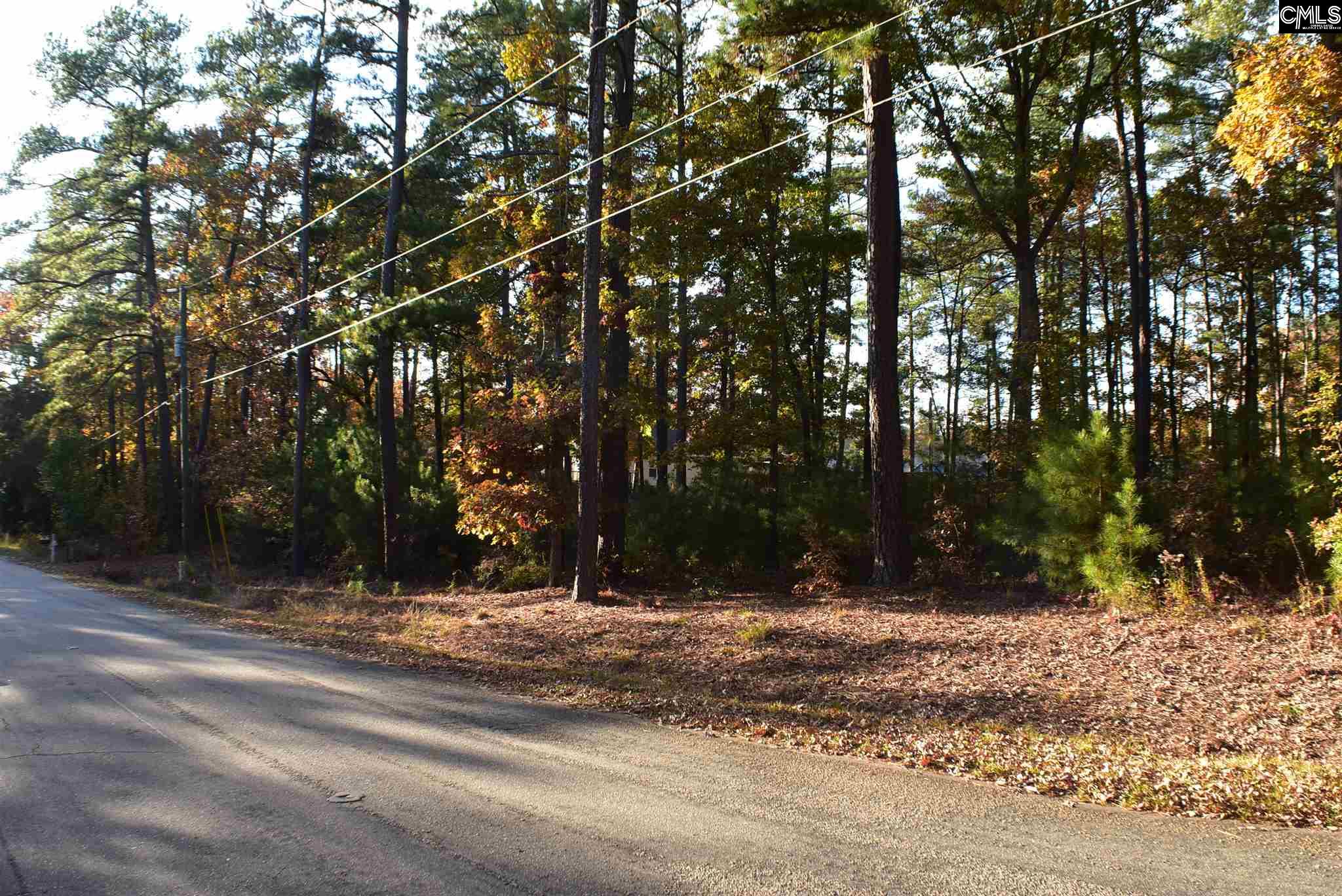210 Bethview Unit 5 Irmo, SC 29063