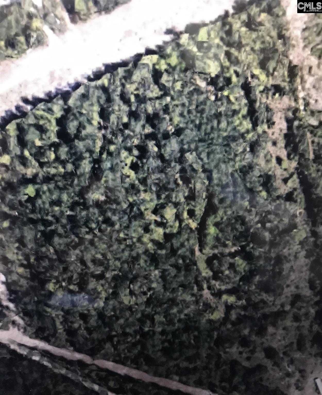 Belo Unit Lot F Lexington, SC 29072
