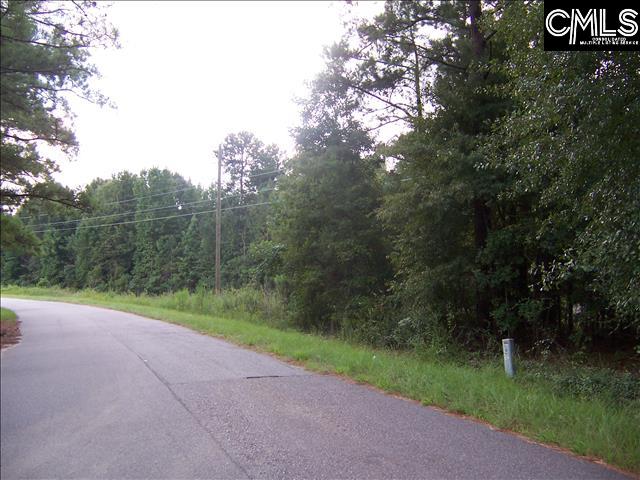 1676 Basehill Hopkins, SC 29061