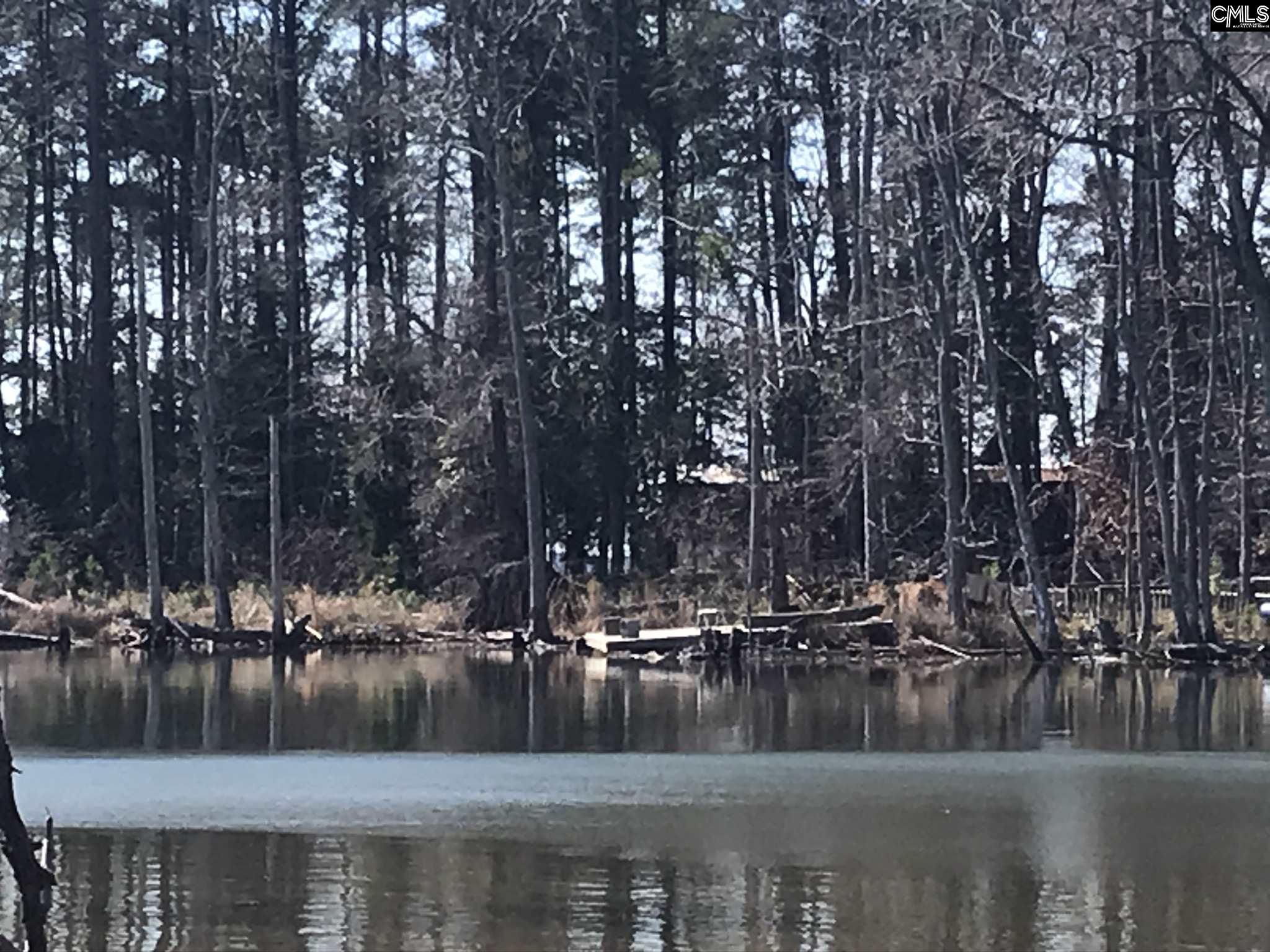 912 Willow Cove Chapin, SC 29036