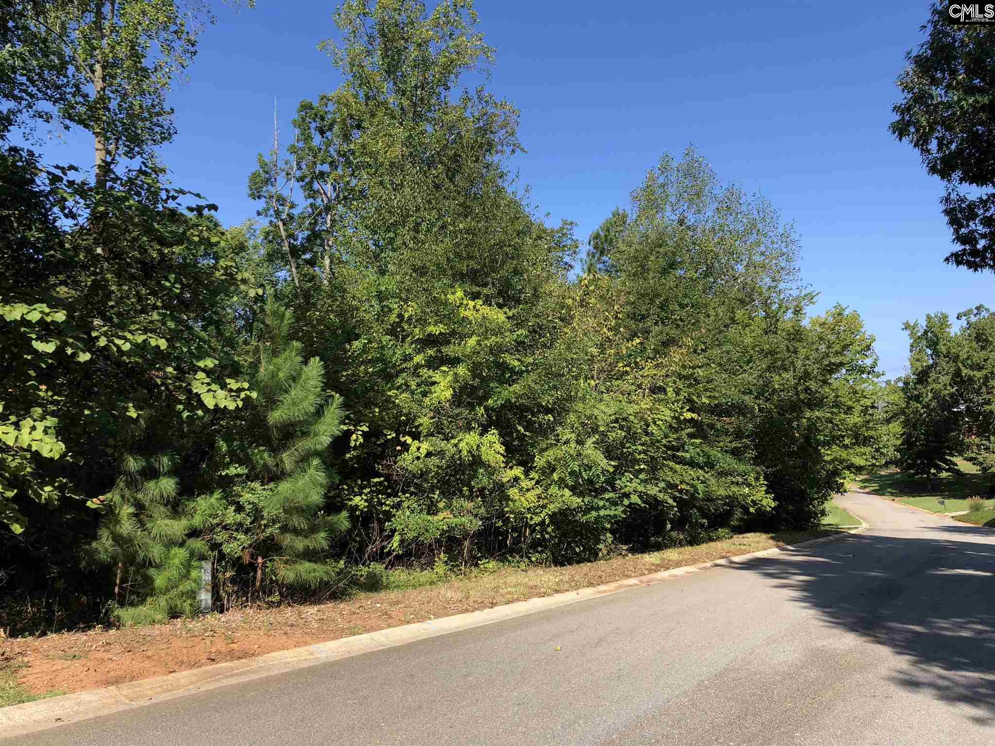 113 Alston Unit 36 Lexington, SC 29072