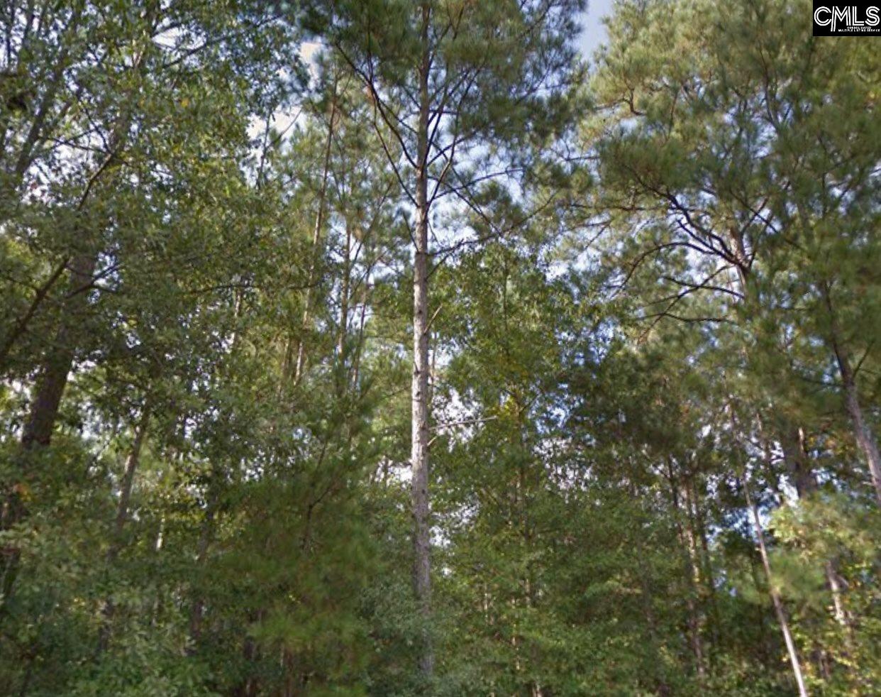 Lot 21 Smith Unit 21 Camden, SC 29020