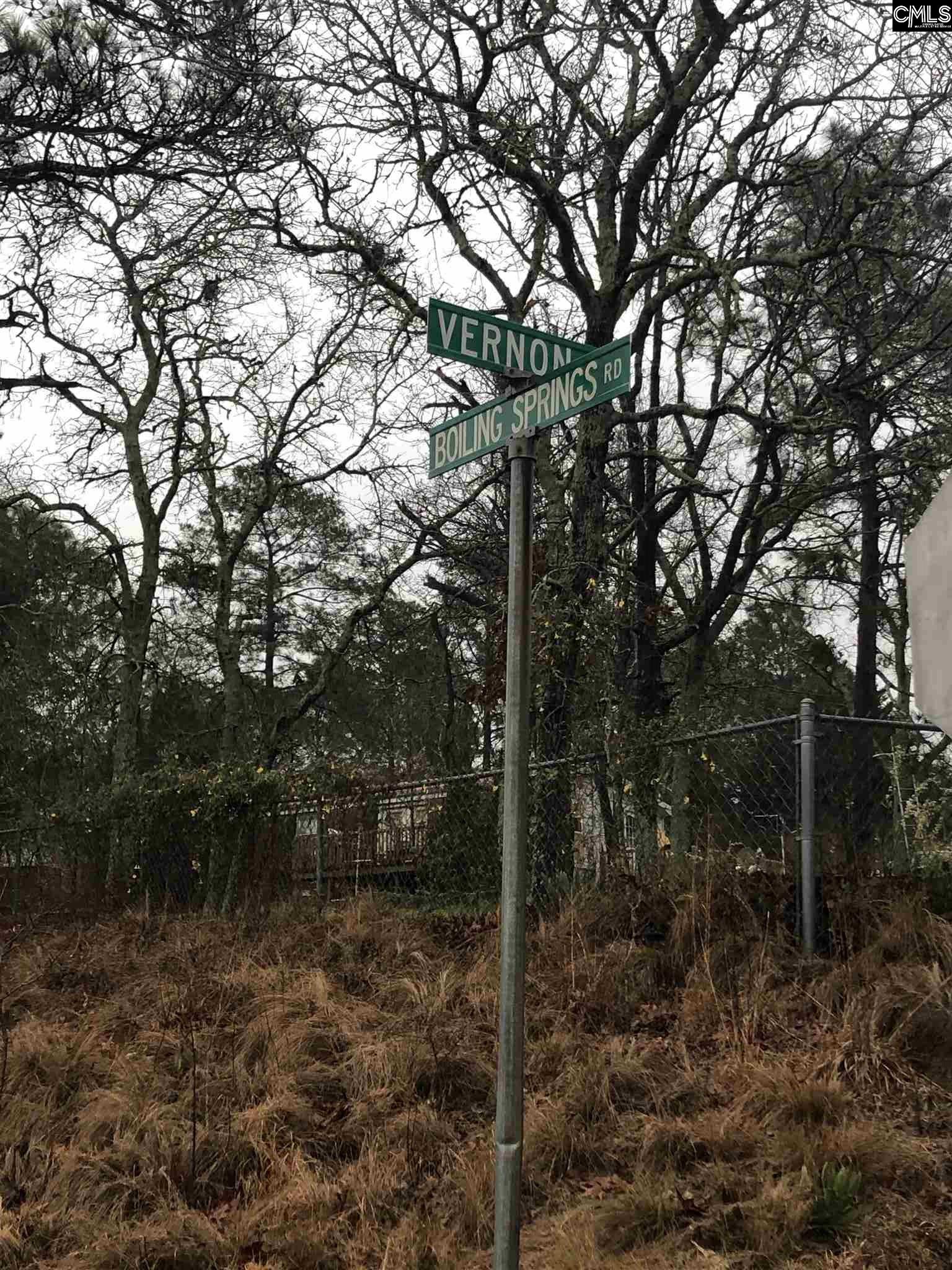 Vernon St Lexington, SC 29073