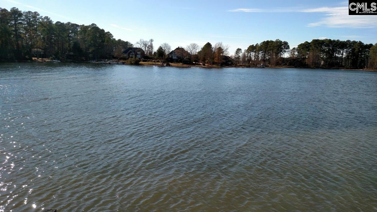 946 Willow Cove Chapin, SC 29036