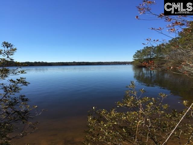 799 Harbor Vista Columbia, SC 29229
