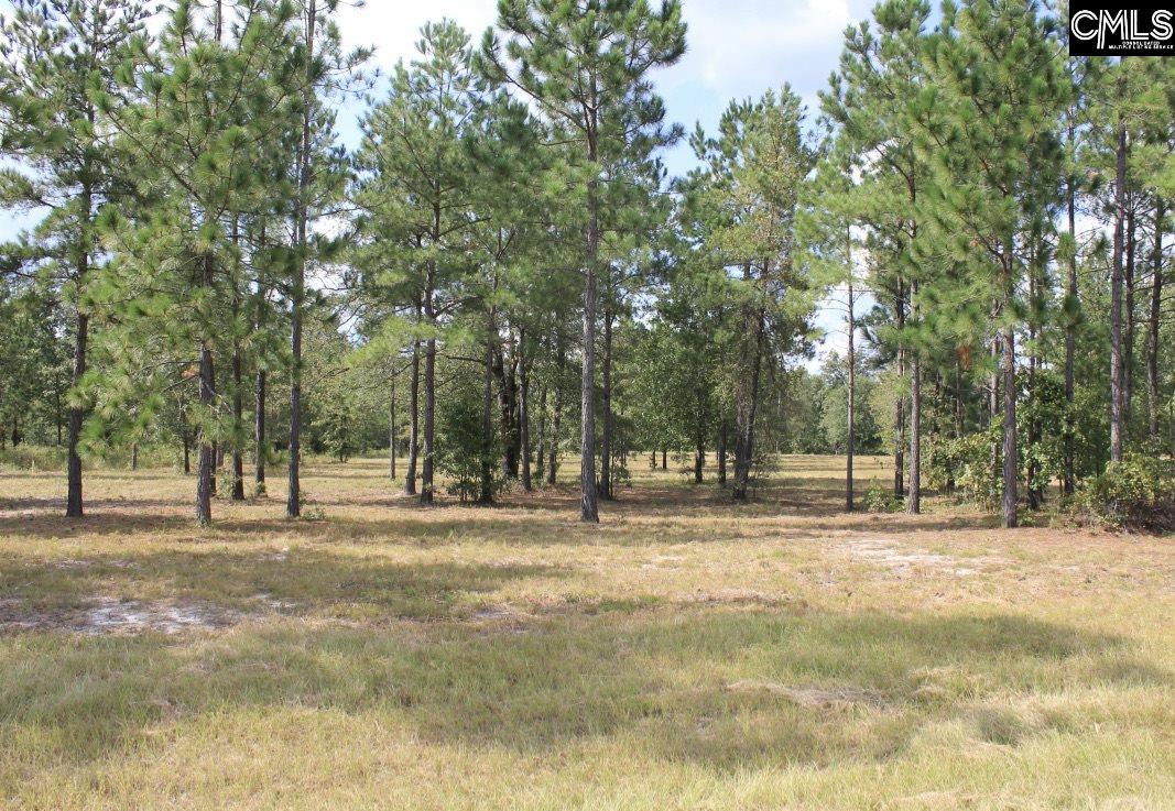 378 Hound Hollow Camden, SC 29020