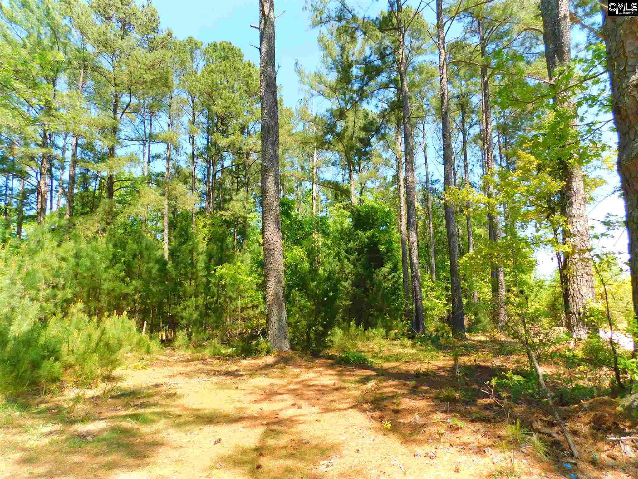 Timberlane Leesville, SC 29070