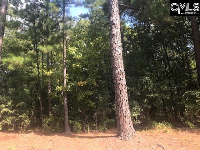 70 Roberson Columbia, SC 29203