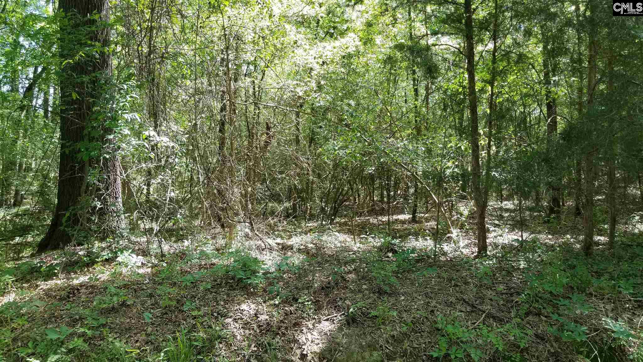 Highway 158 Leesville, SC 29070