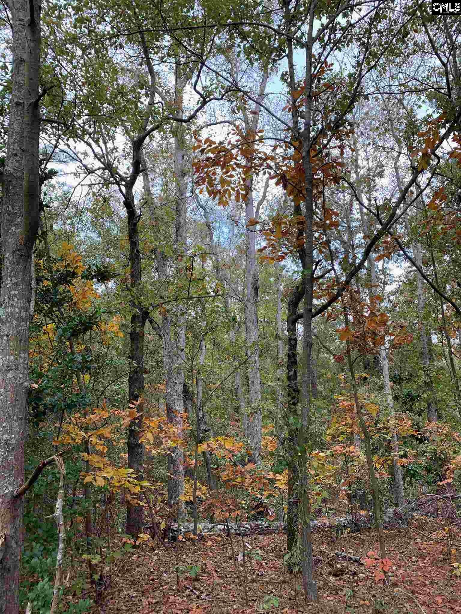3 Deacon Lexington, SC 29072