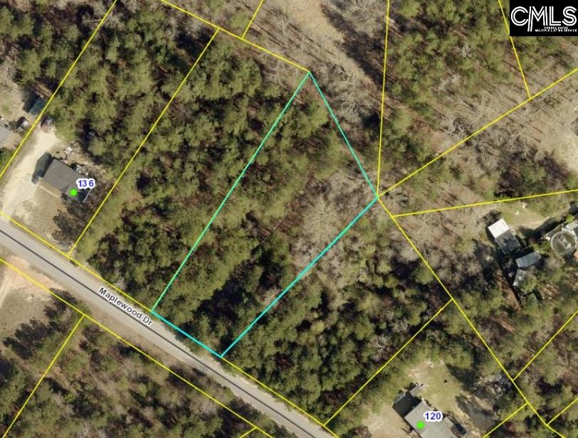 128 Maplewood Unit 41 Lexington, SC 29073