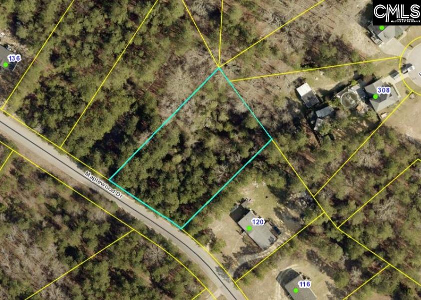 124 Maplewood Unit 42 Lexington, SC 29073