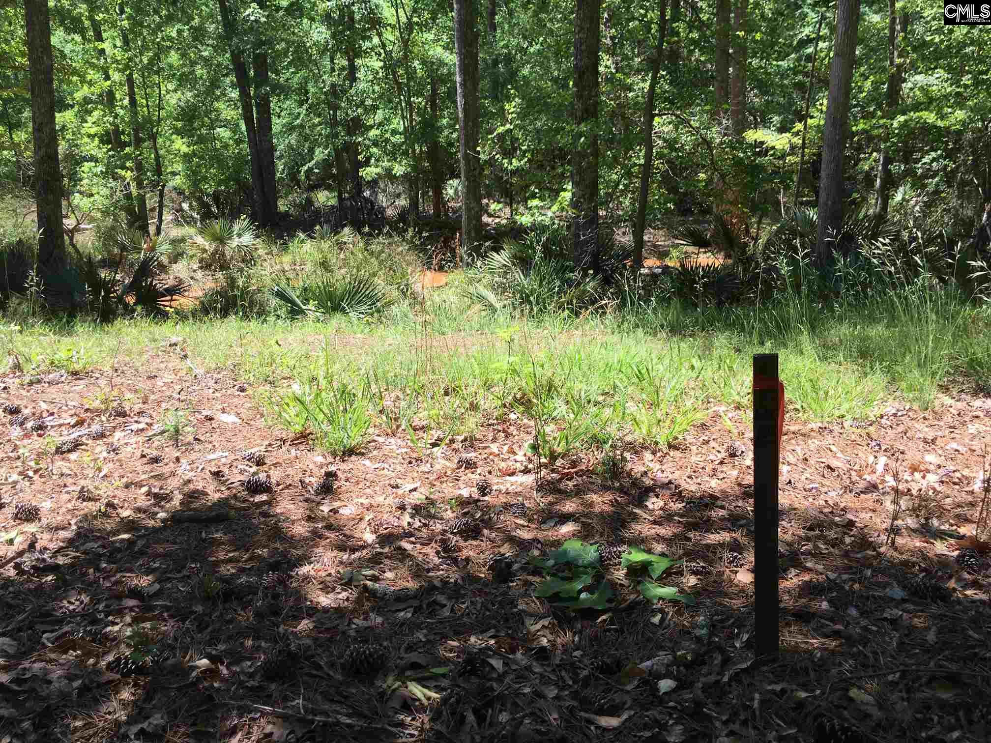 1921 Brant Unit 160 Chapin, SC 29036