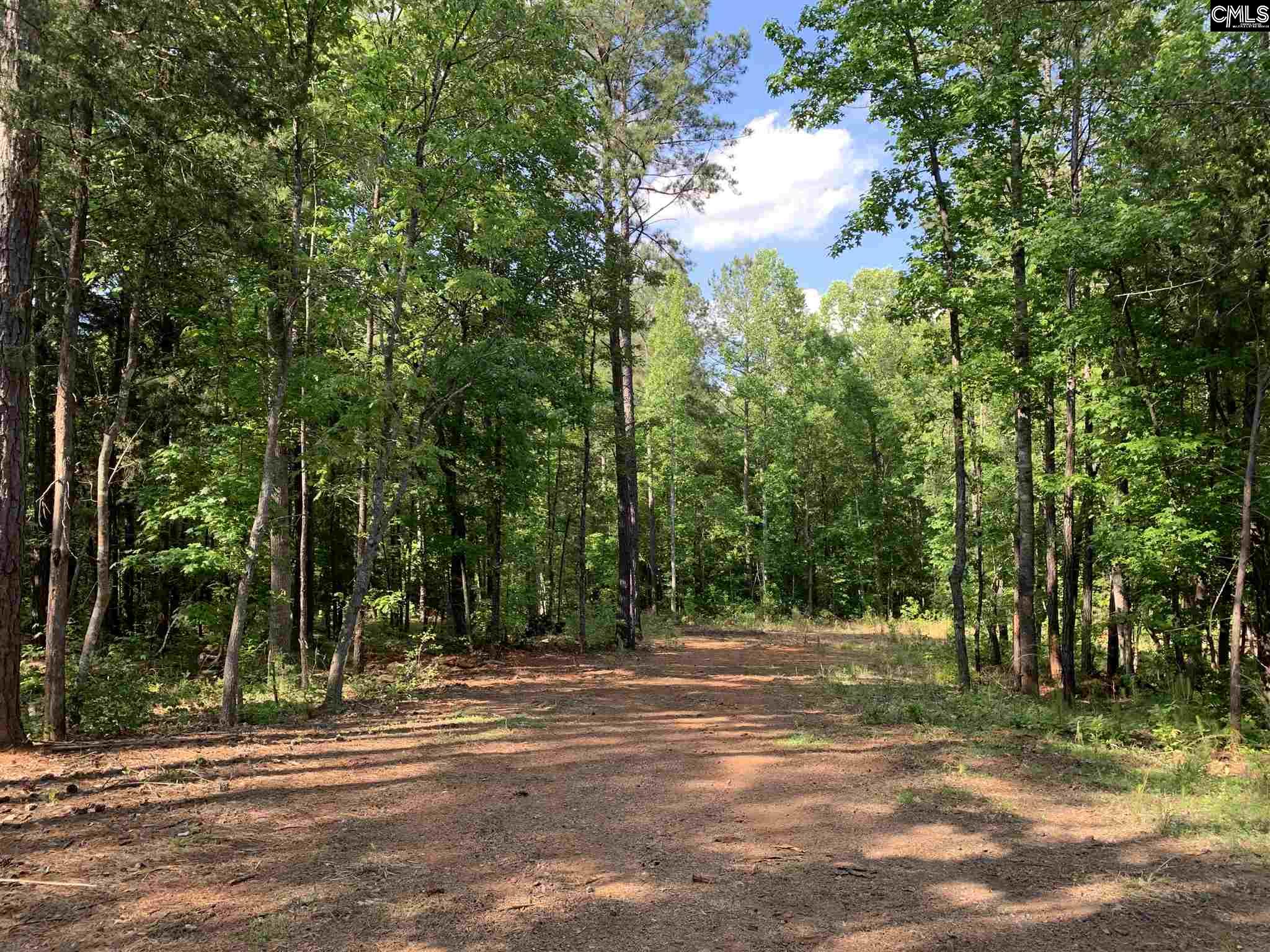 2143 Chapin Chapin, SC 29036