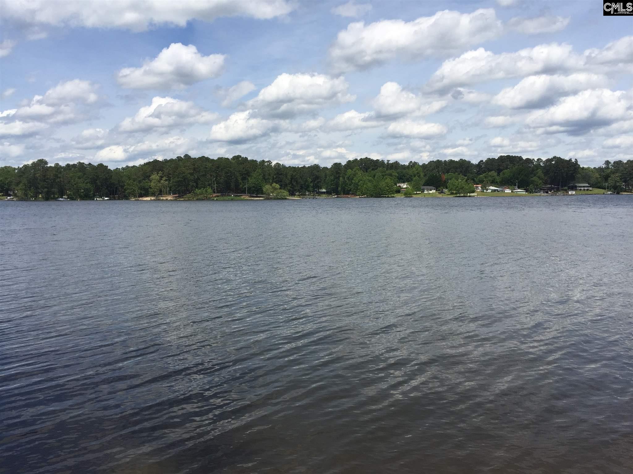 119 Turtle Point Leesville, SC 29070-7193