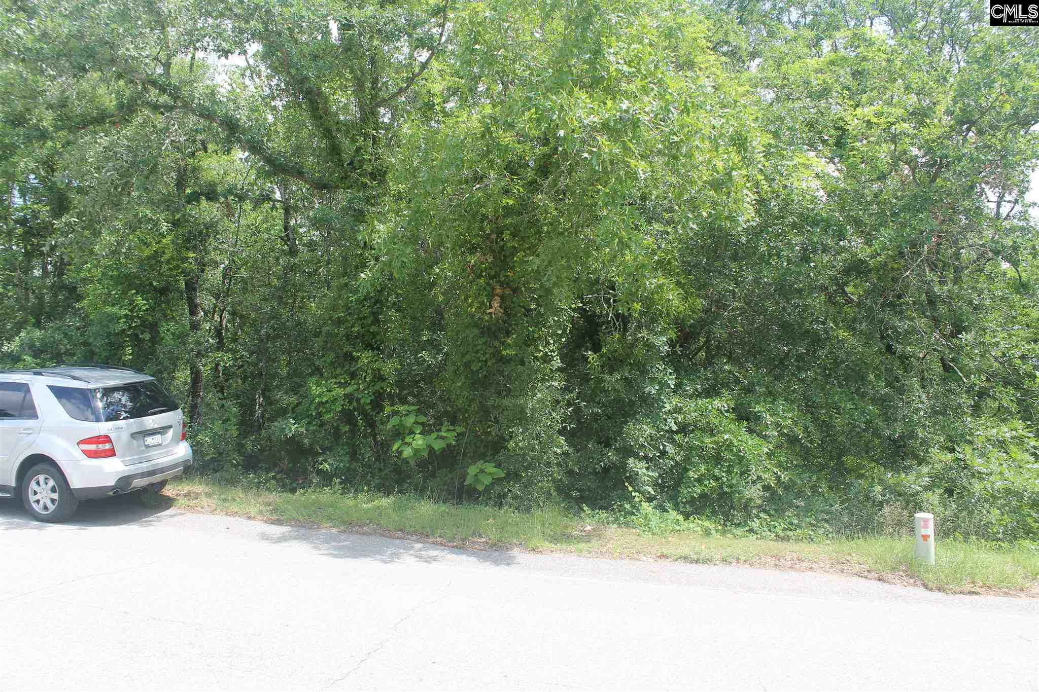 703 Crestwood Arch Unit 3-c Ph1 Lexington, SC 29073