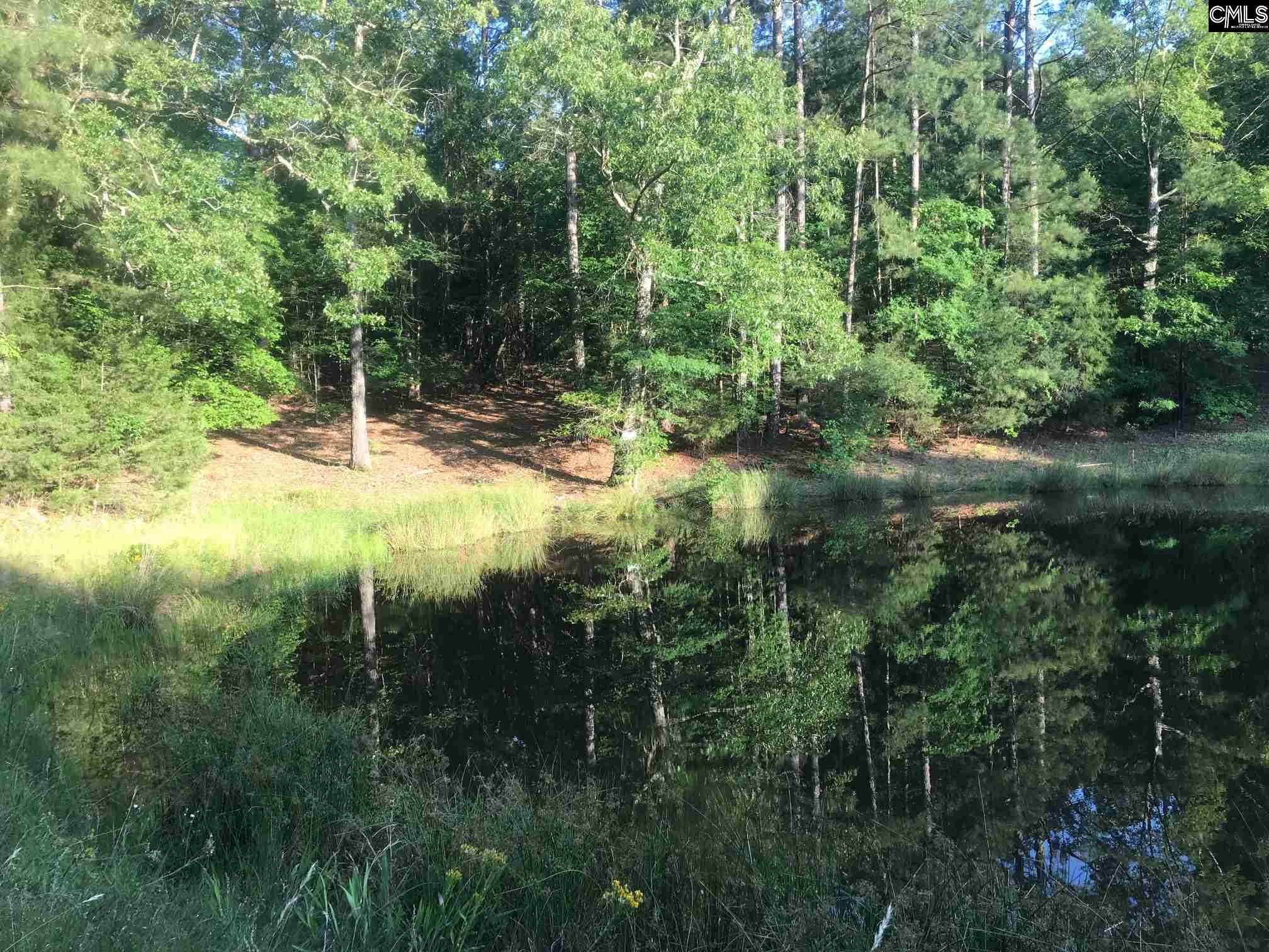 12380 Broad River Little Mountain, SC 29075