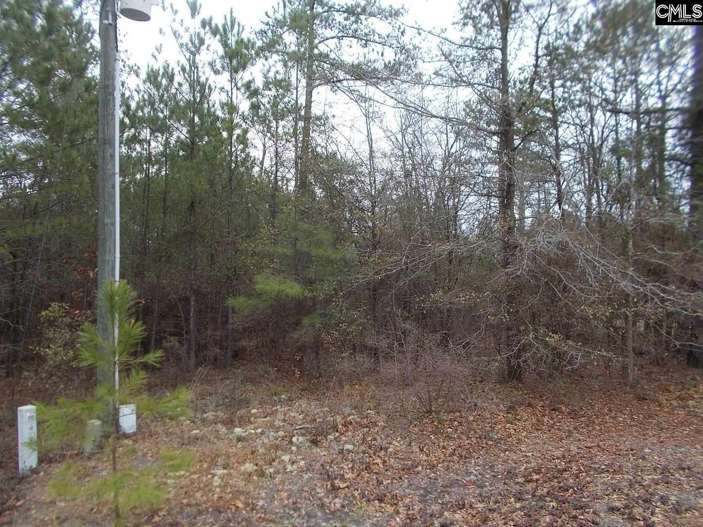 198 Pine Grove Lugoff, SC 29078
